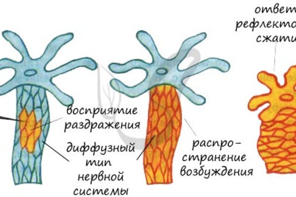 Kra37.at