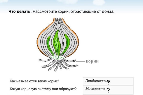 Как восстановить аккаунт на кракене